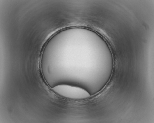 X0000112071220200908111426