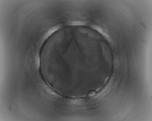 X0000112071221200908111426