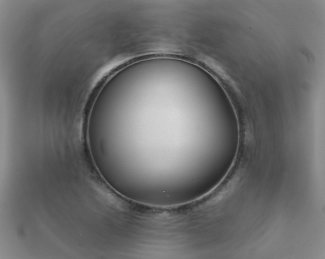 X0000112071222200908111426