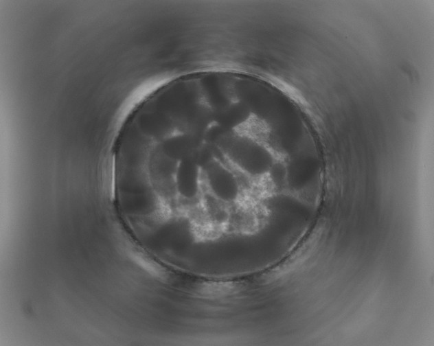 X0000112071223200908111426