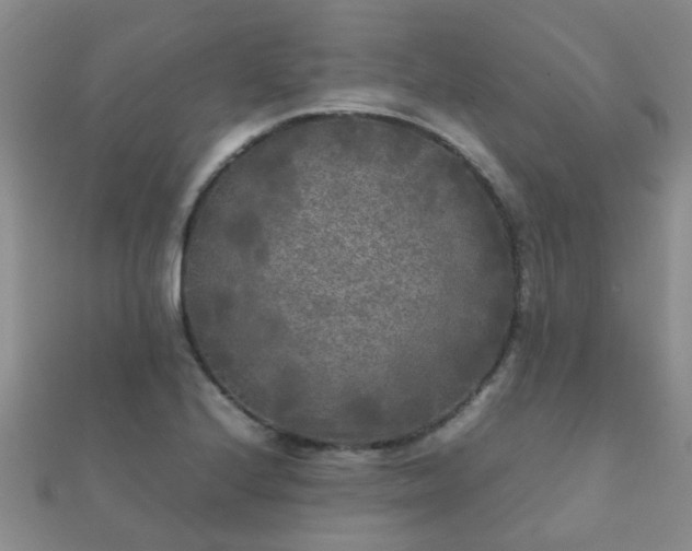 X0000112071224200908111426