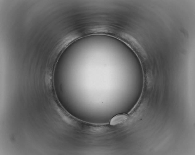 X0000112071225200908111426