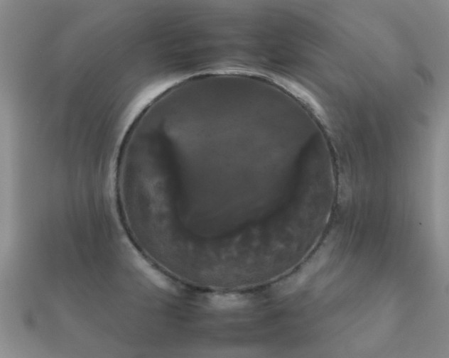 X0000112071231200908111426