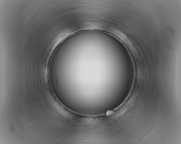 X0000112071234200908111426