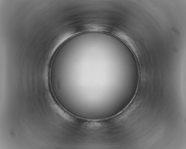 X0000112071235200908111426