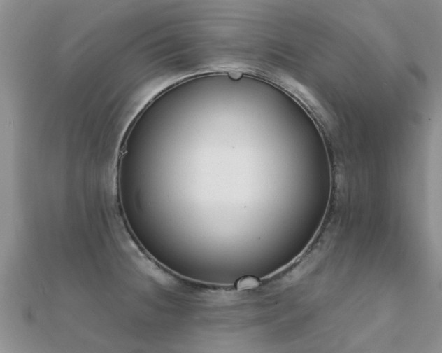 X0000112071236200908111426