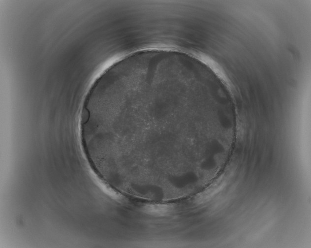 X0000112071237200908111426