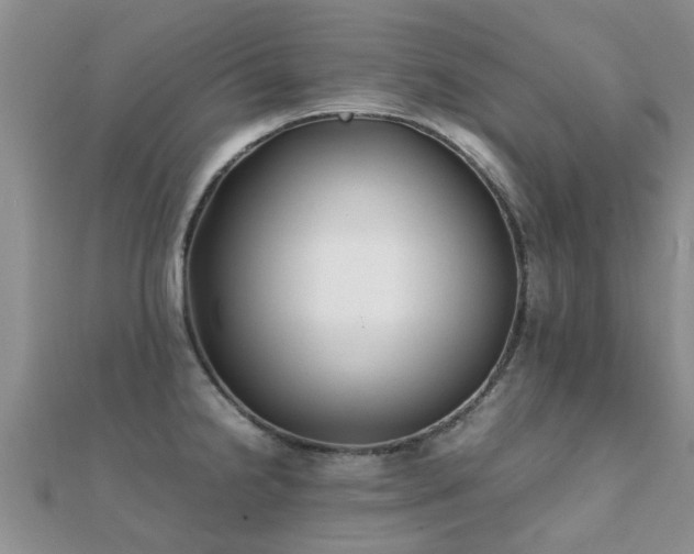 X0000112071238200908111426