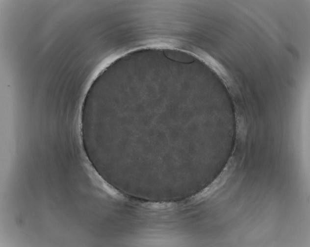 X0000112071240200908111426