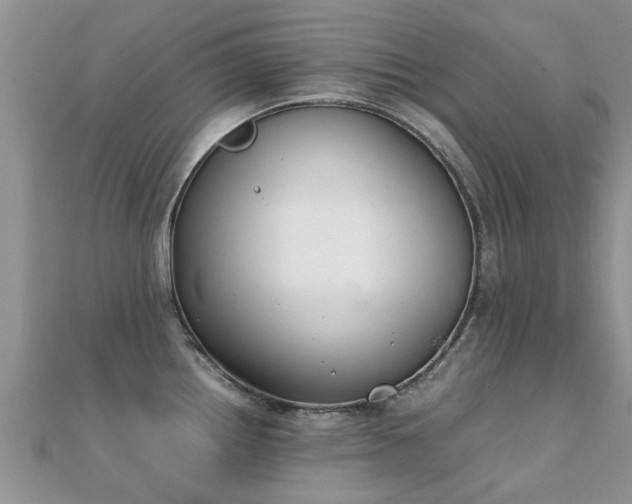 X0000112071242200908111426