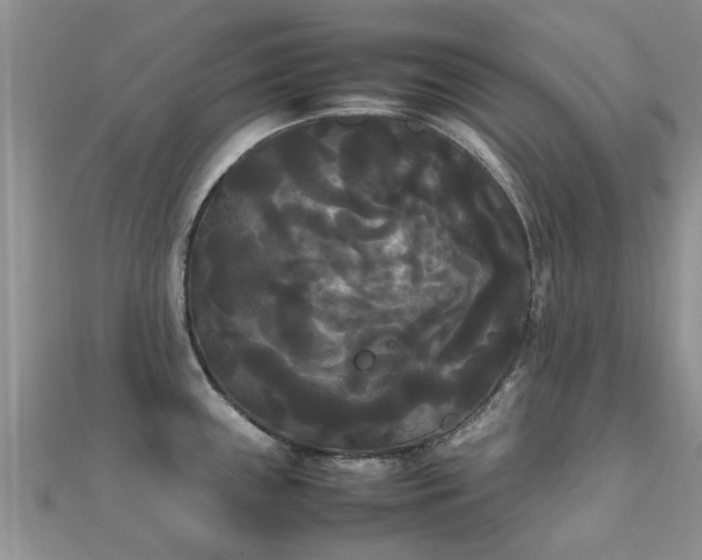 X0000112071243200908111426