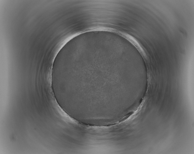 X0000112071244200908111426