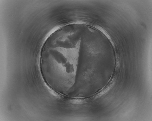 X0000112071245200908111426