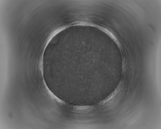 X0000112071247200908111426