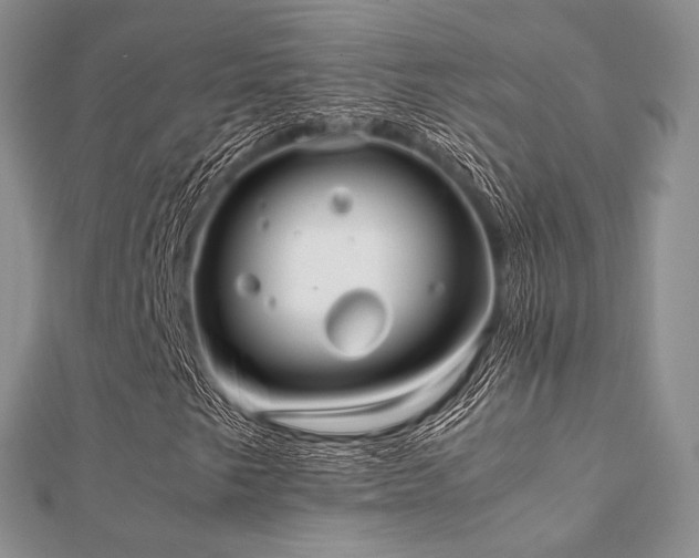 X0000112071249200908111425