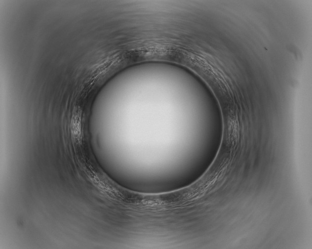 X0000112071250200908111425