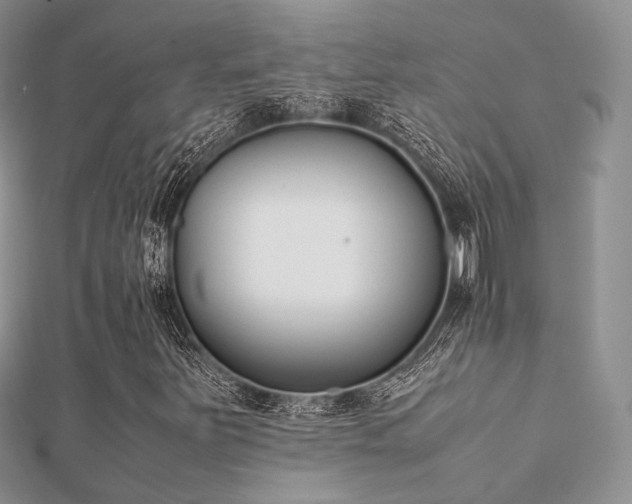 X0000112071251200908111425