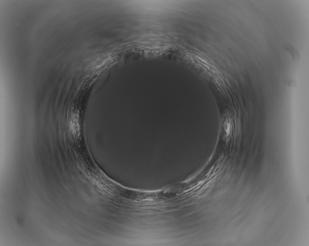 X0000112071252200908111425