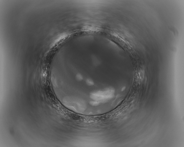 X0000112071254200908111425