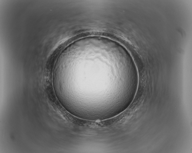 X0000112071255200908111425