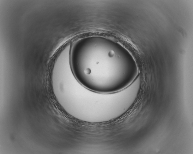 X0000112071256200908111425