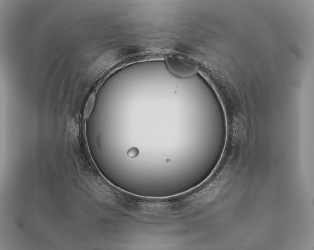 X0000112071257200908111425