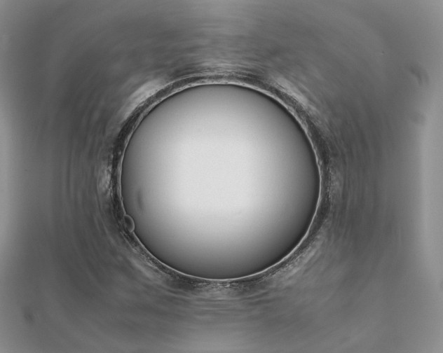 X0000112071259200908111425