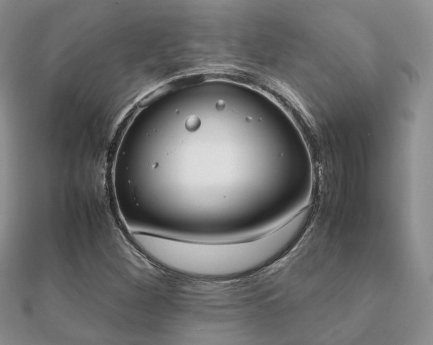 X0000112071260200908111425