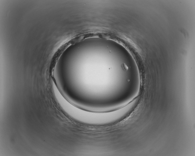 X0000112071261200908111425