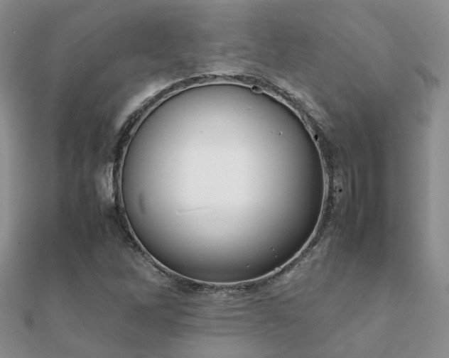 X0000112071262200908111425