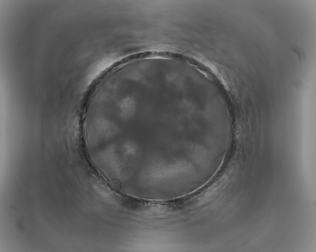 X0000112071263200908111425