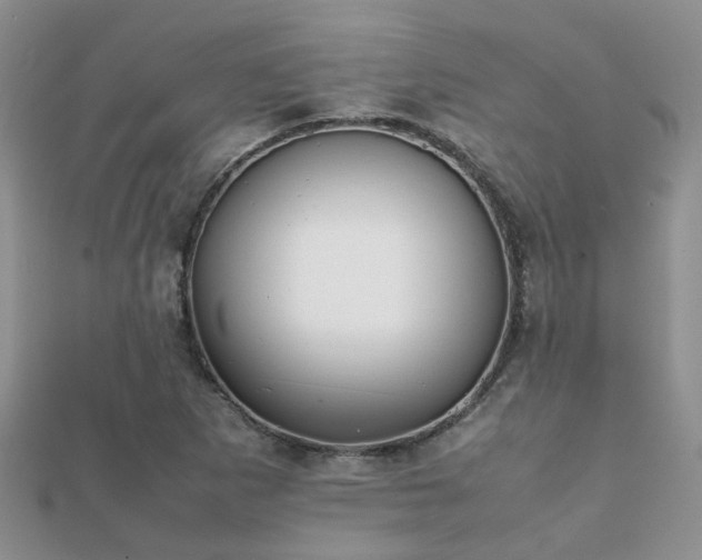 X0000112071265200908111425