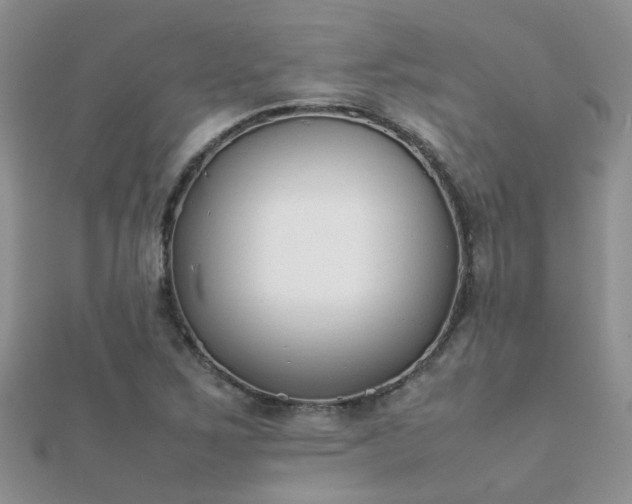 X0000112071267200908111425