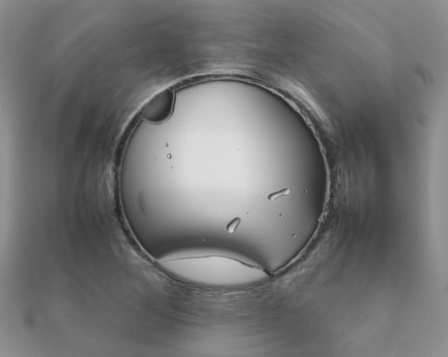 X0000112071268200908111425