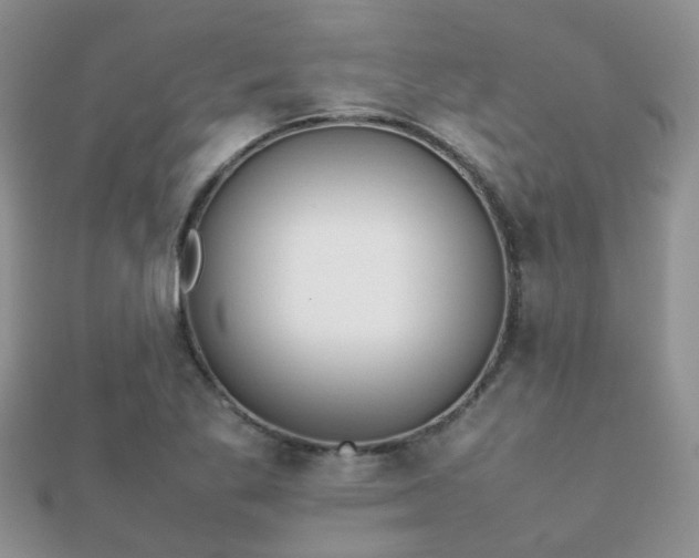 X0000112071269200908111425