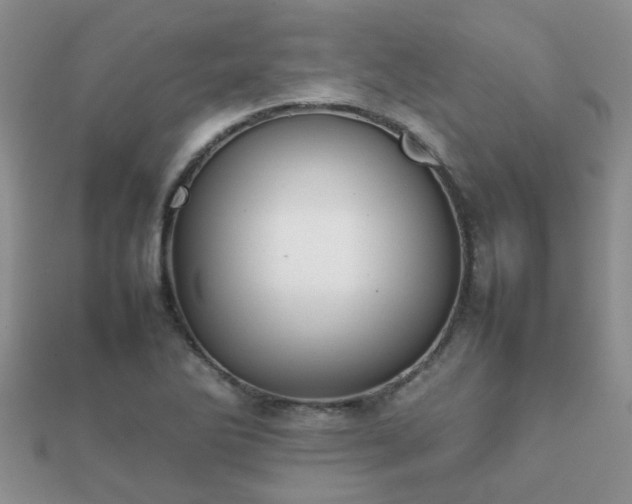 X0000112071270200908111425