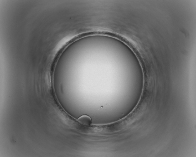 X0000112071271200908111425