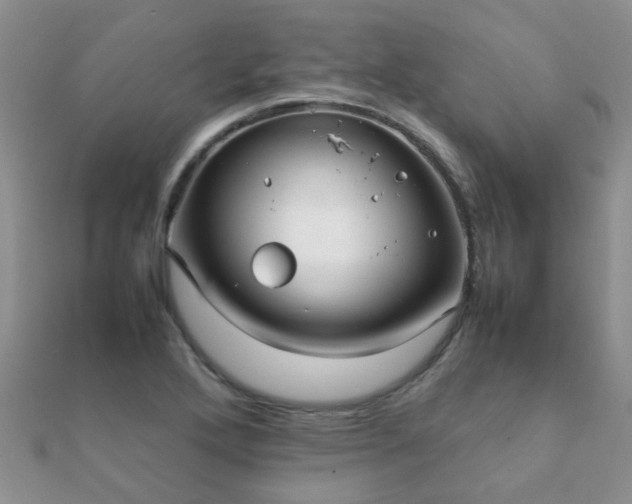 X0000112071272200908111425