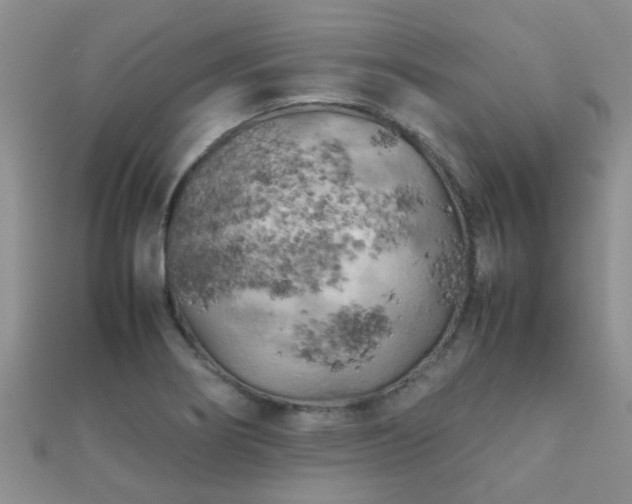 X0000112071274200908111425