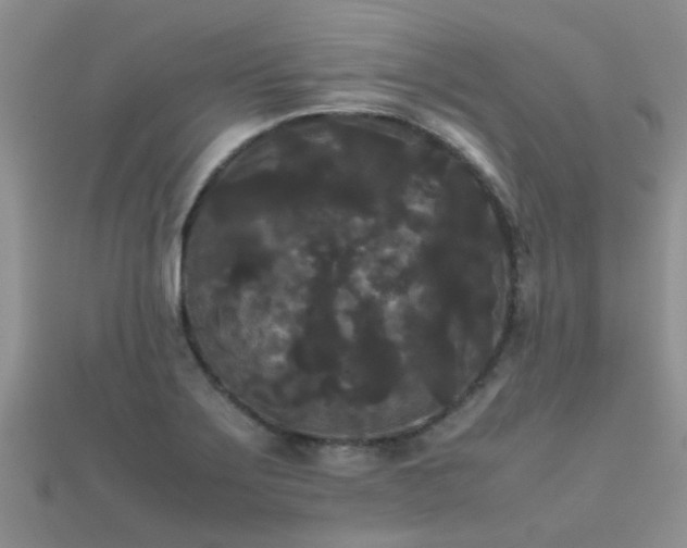 X0000112071275200908111425