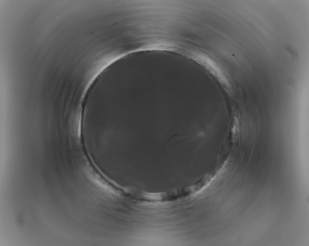 X0000112071276200908111425