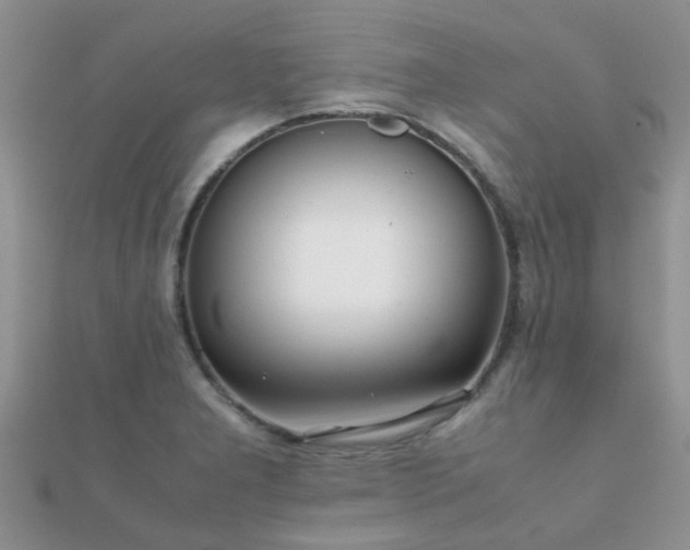 X0000112071277200908111425