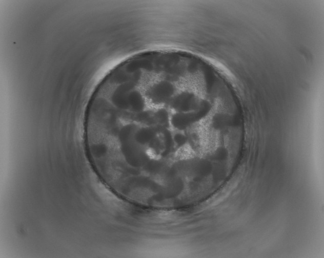 X0000112071279200908111425