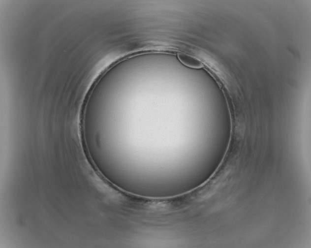 X0000112071283200908111425