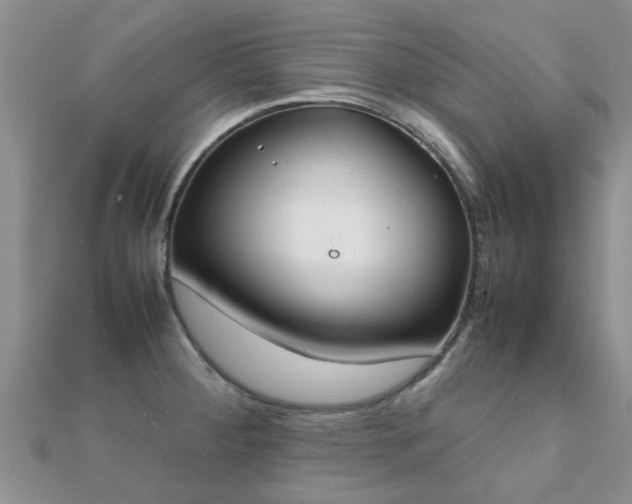 X0000112071284200908111425