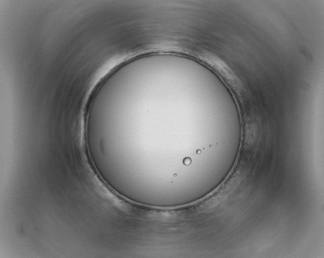 X0000112071286200908111425