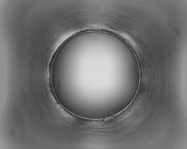 X0000112071287200908111425