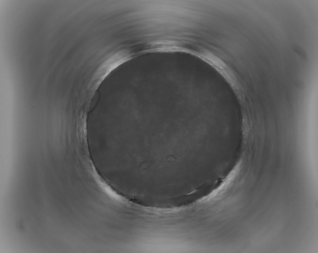 X0000112071289200908111425