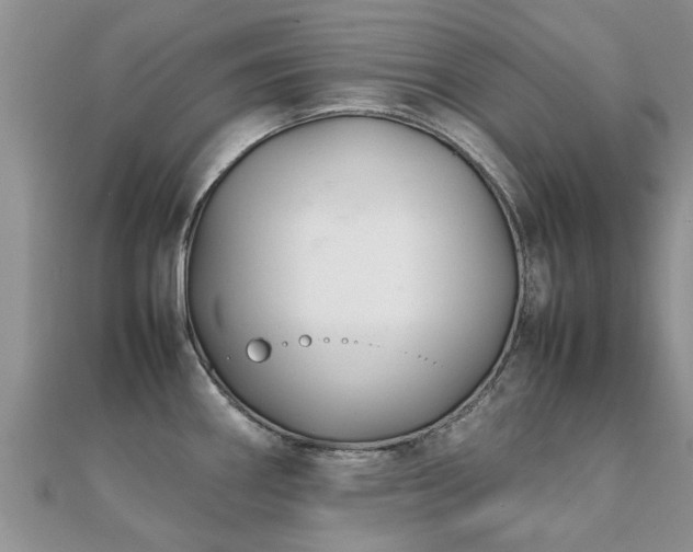 X0000112071290200908111425