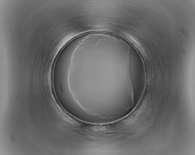 X0000112071291200908111425